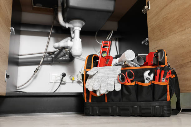 Best Plumbing Repair Near Me  in Lone Tree, CO