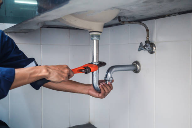  Lone Tree, CO Plumbing Pros